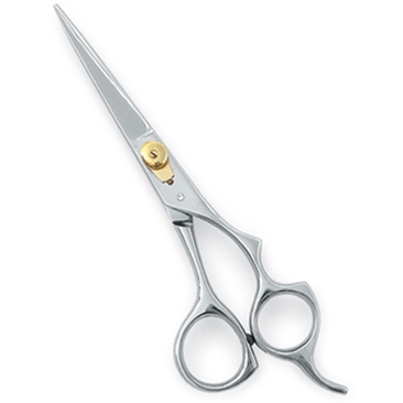 Professional Hair Cutting Scissors