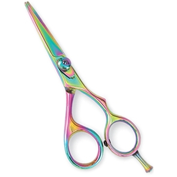 Professional Hair Cutting Scissors