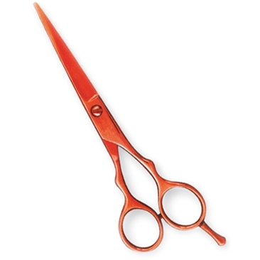 Professional Hair Cutting Scissors