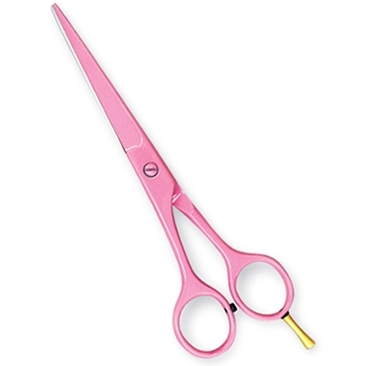 Professional Hair Cutting Scissors