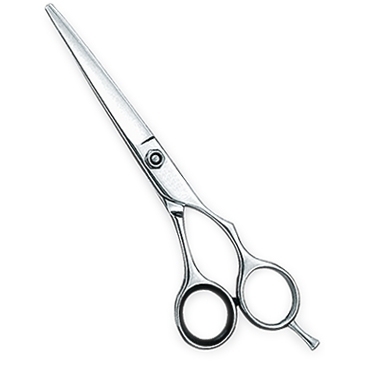 Professional Hair Cutting Scissors