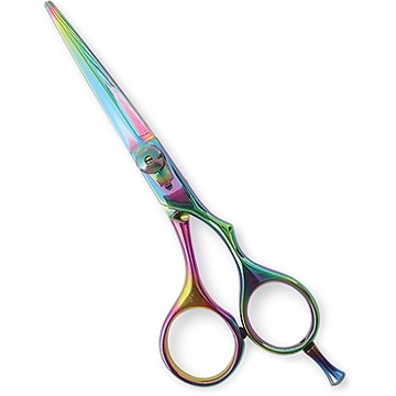 Professional Hair Cutting Scissors
