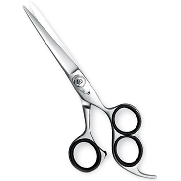 Professional Hair Cutting Scissors