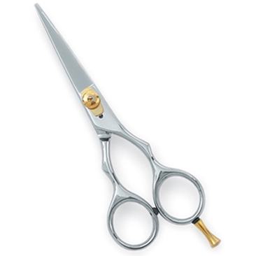 Professional Hair Cutting Scissors