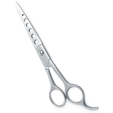 Professional Hair Cutting Scissors