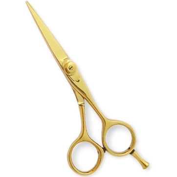 Professional Hair Cutting Scissors