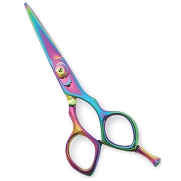 Professional Hair Cutting Scissors